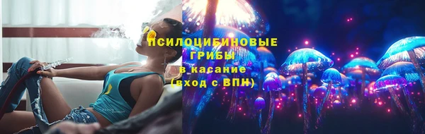 прущий лед Нея