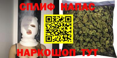 ГАЛЛЮЦИНОГЕННЫЕ ГРИБЫ Кандалакша