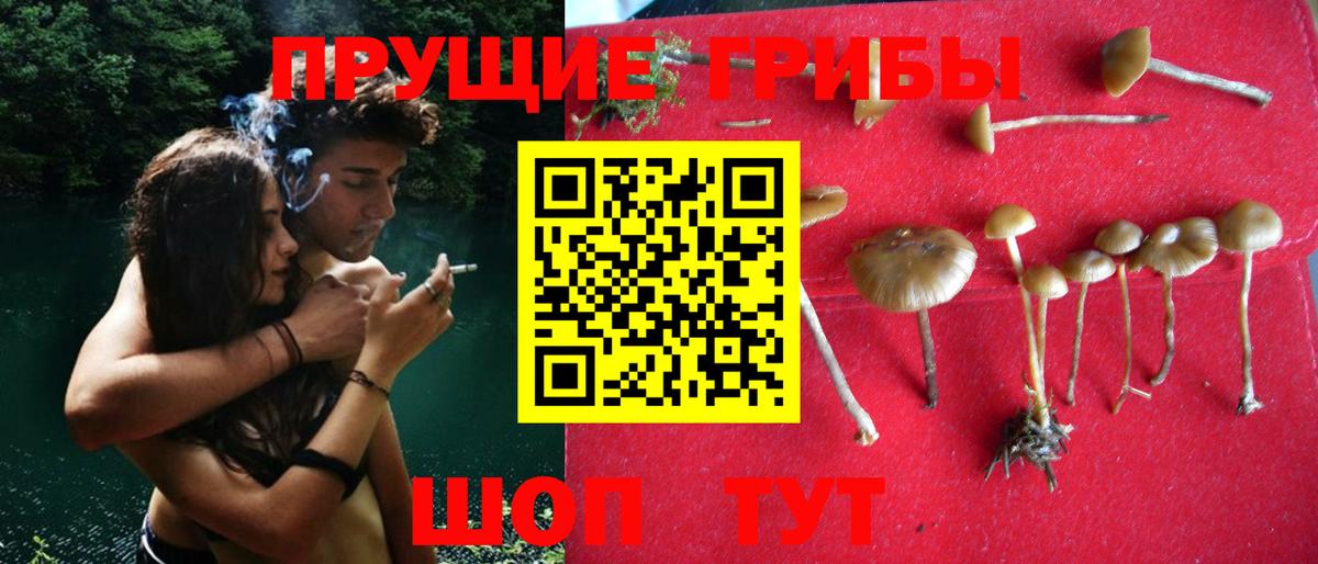 Галлюциногенные грибы прущие грибы Подольск